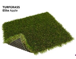 Turfgrass Elite Apple   Rasen / Gras